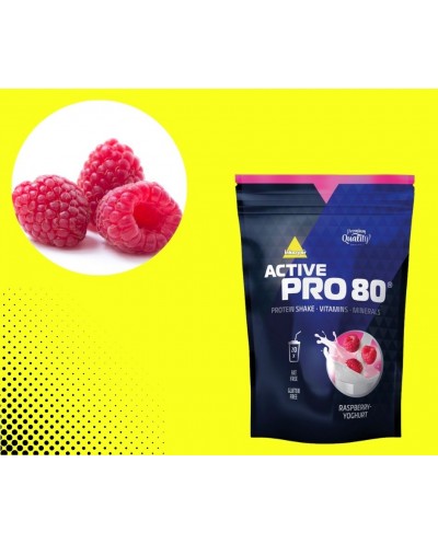 ACTIVE PRO 80 HIMBEERE-YOGUHRT 500g